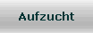 Aufzucht
